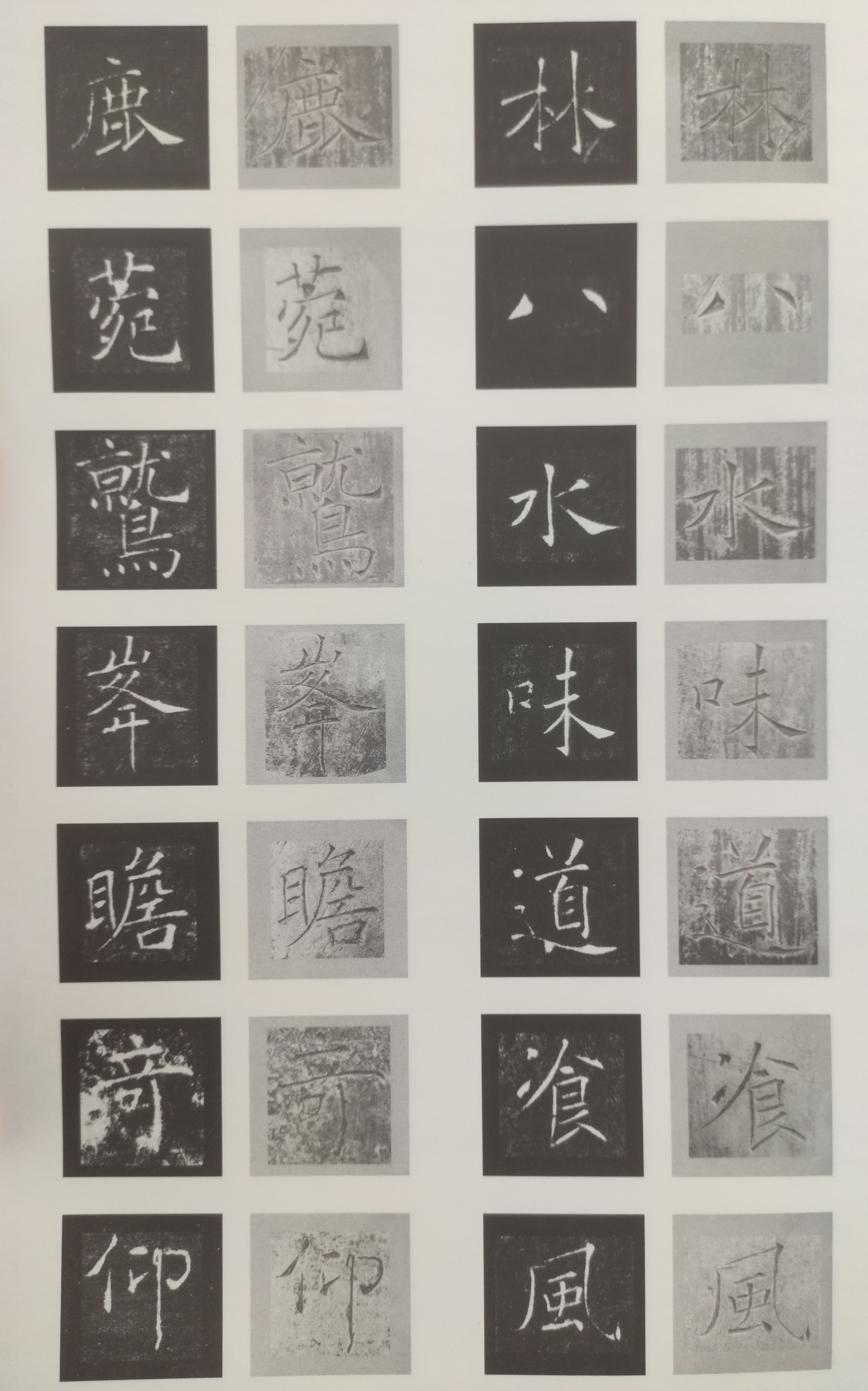 原石对照 第40开