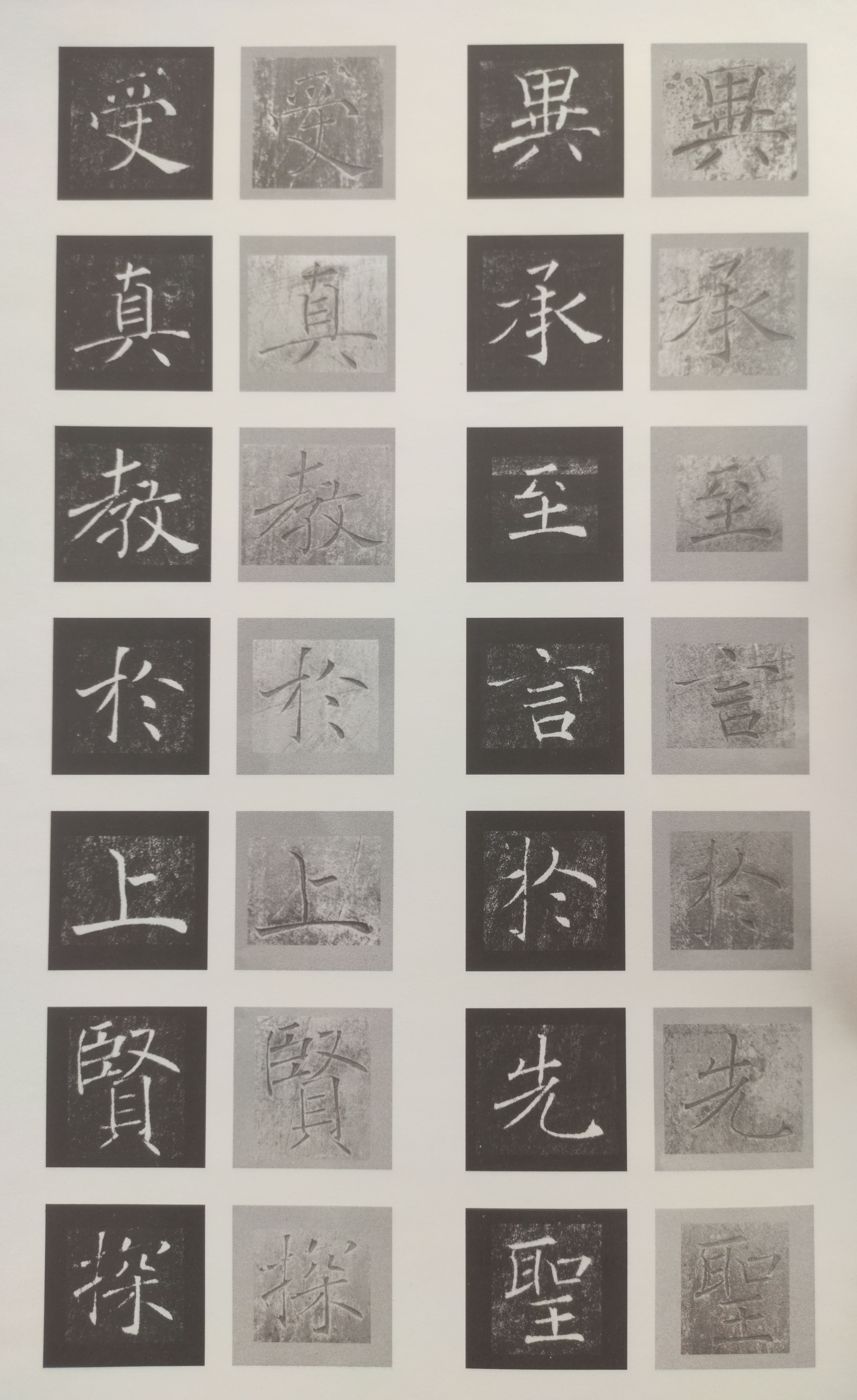 原石对照 第41开