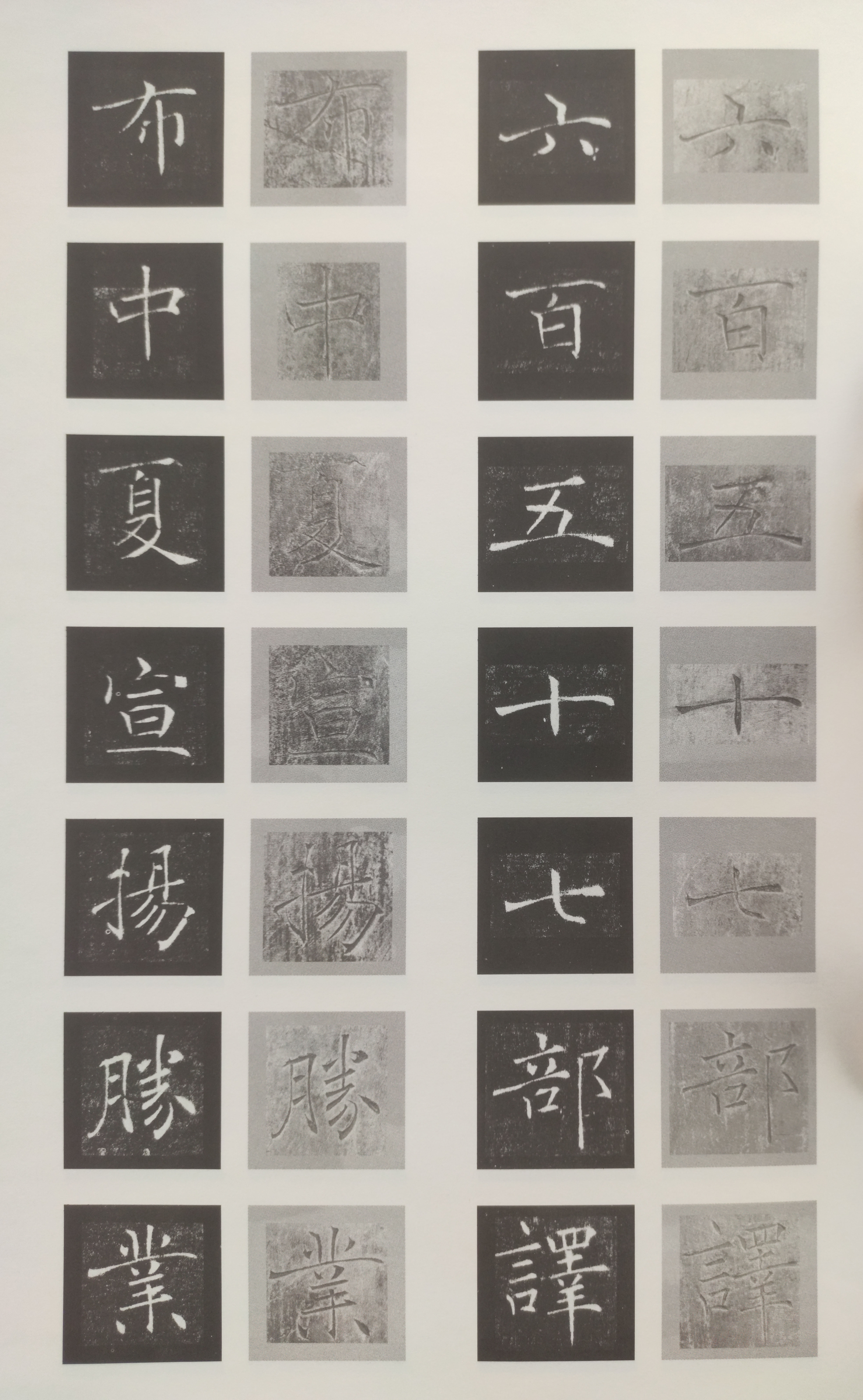 原石对照 第45开