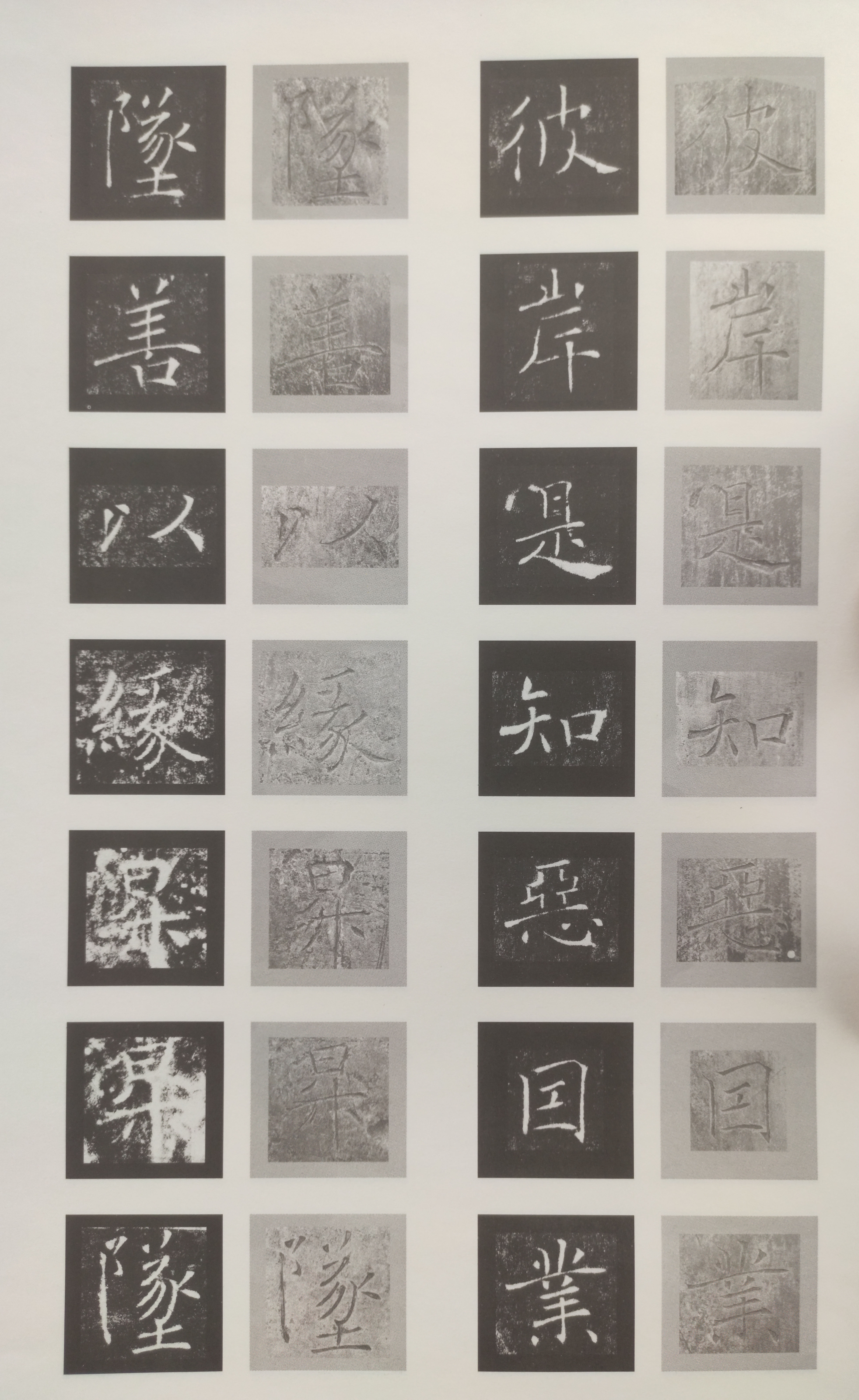 原石对照 第49开