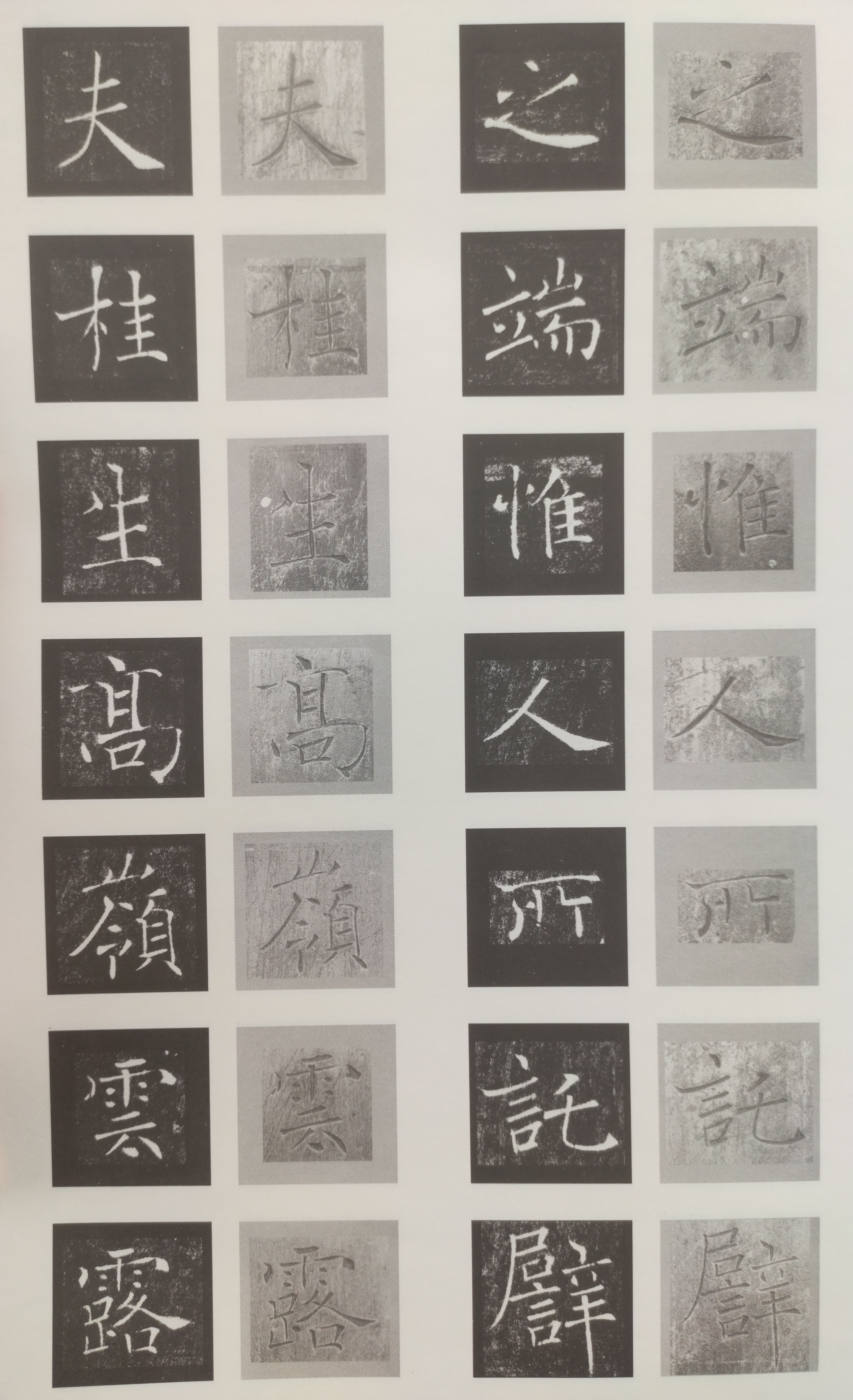 原石对照 第50开