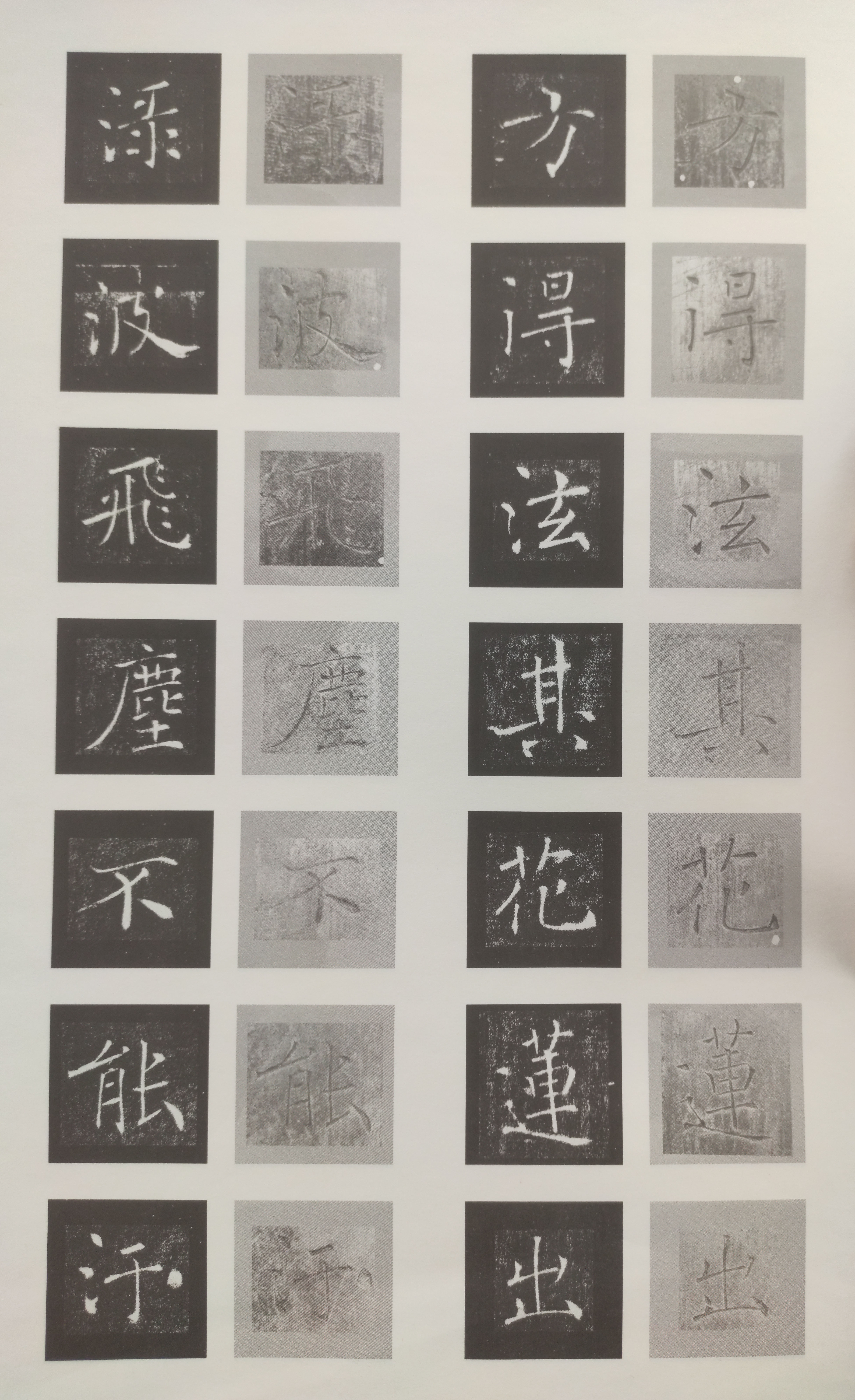 原石对照 第51开