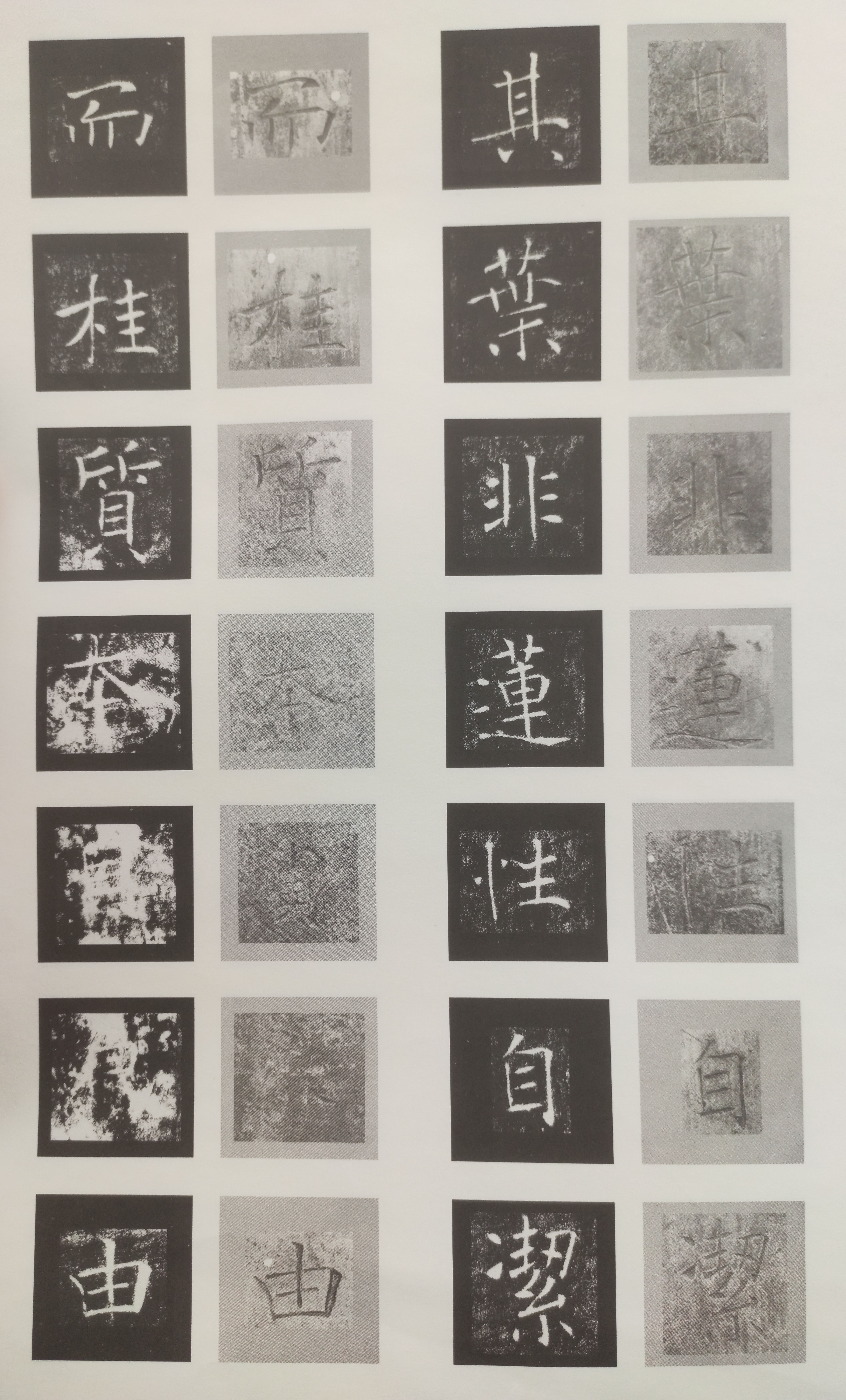 原石对照 第52开