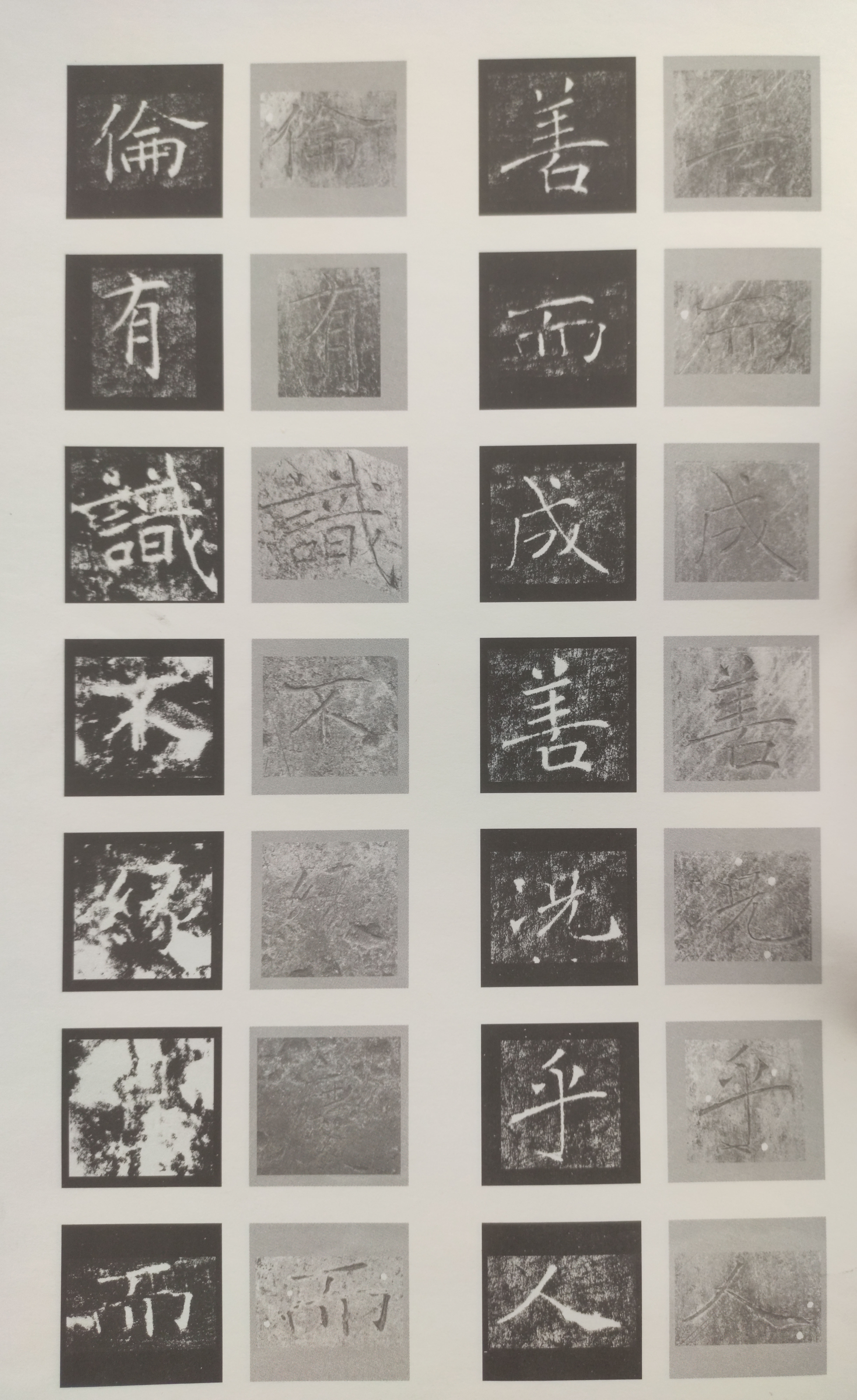 原石对照 第55开
