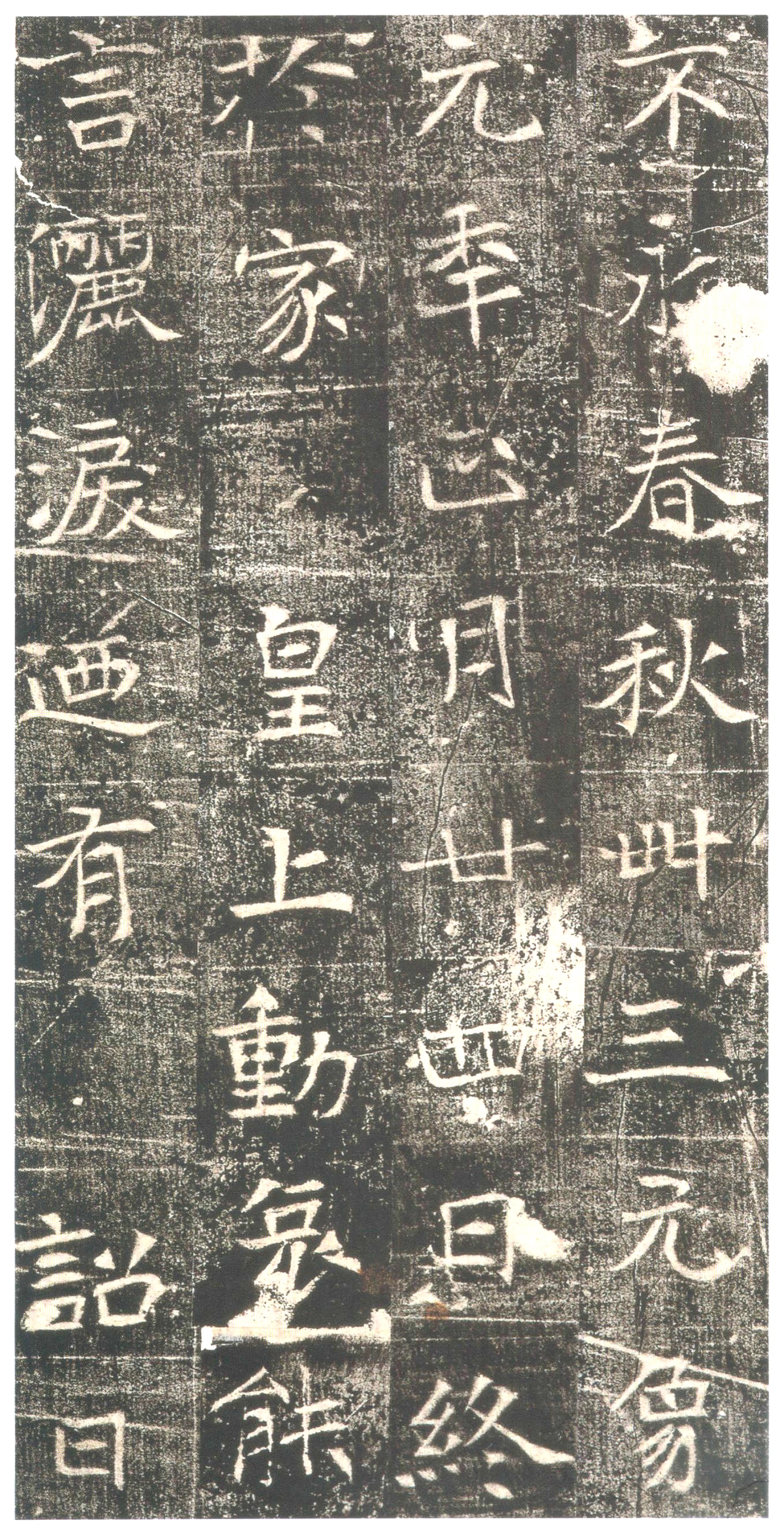 初拓本 第13开