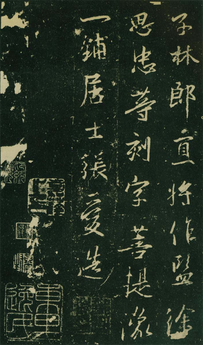 高岛本 第20开