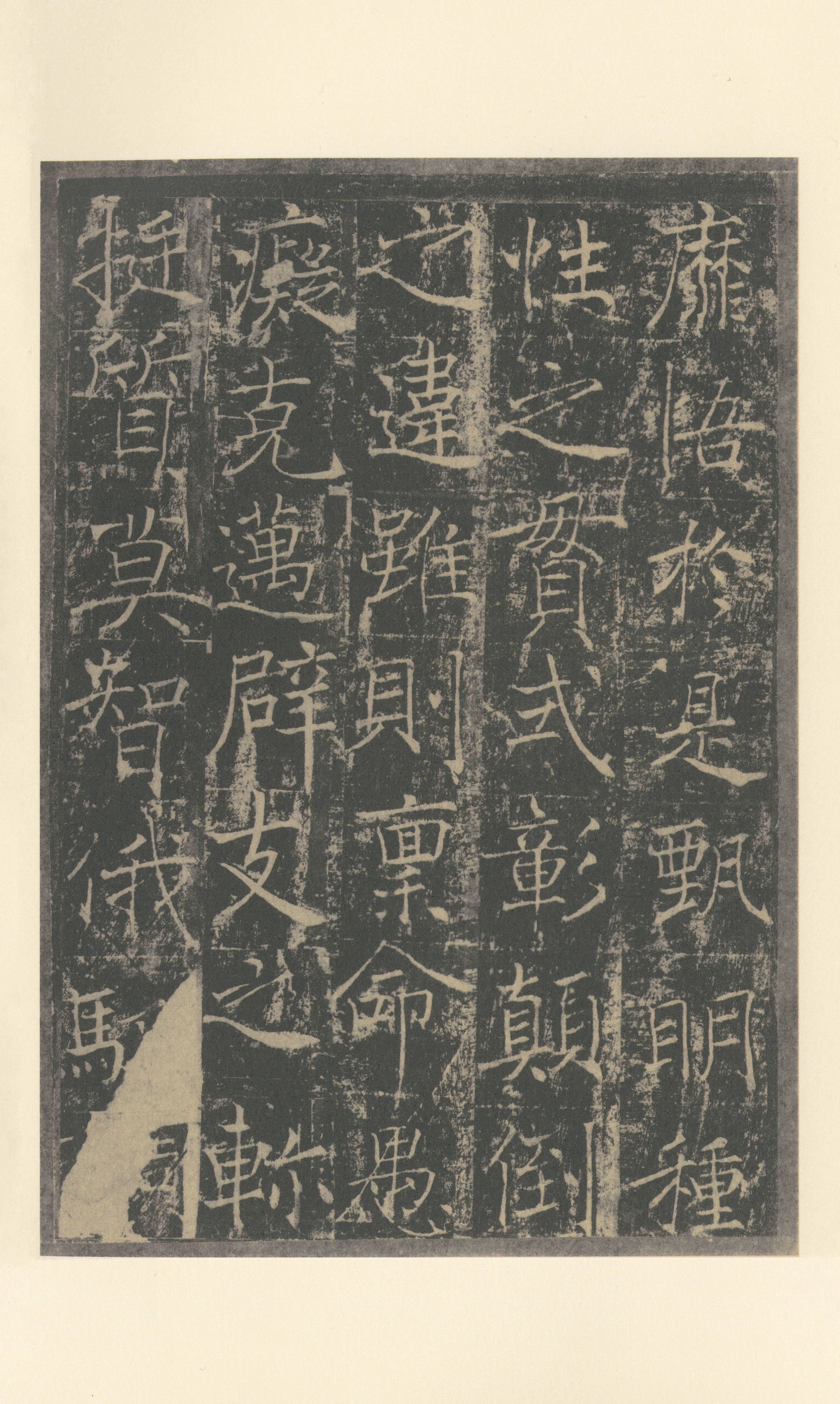 拓本 第20开