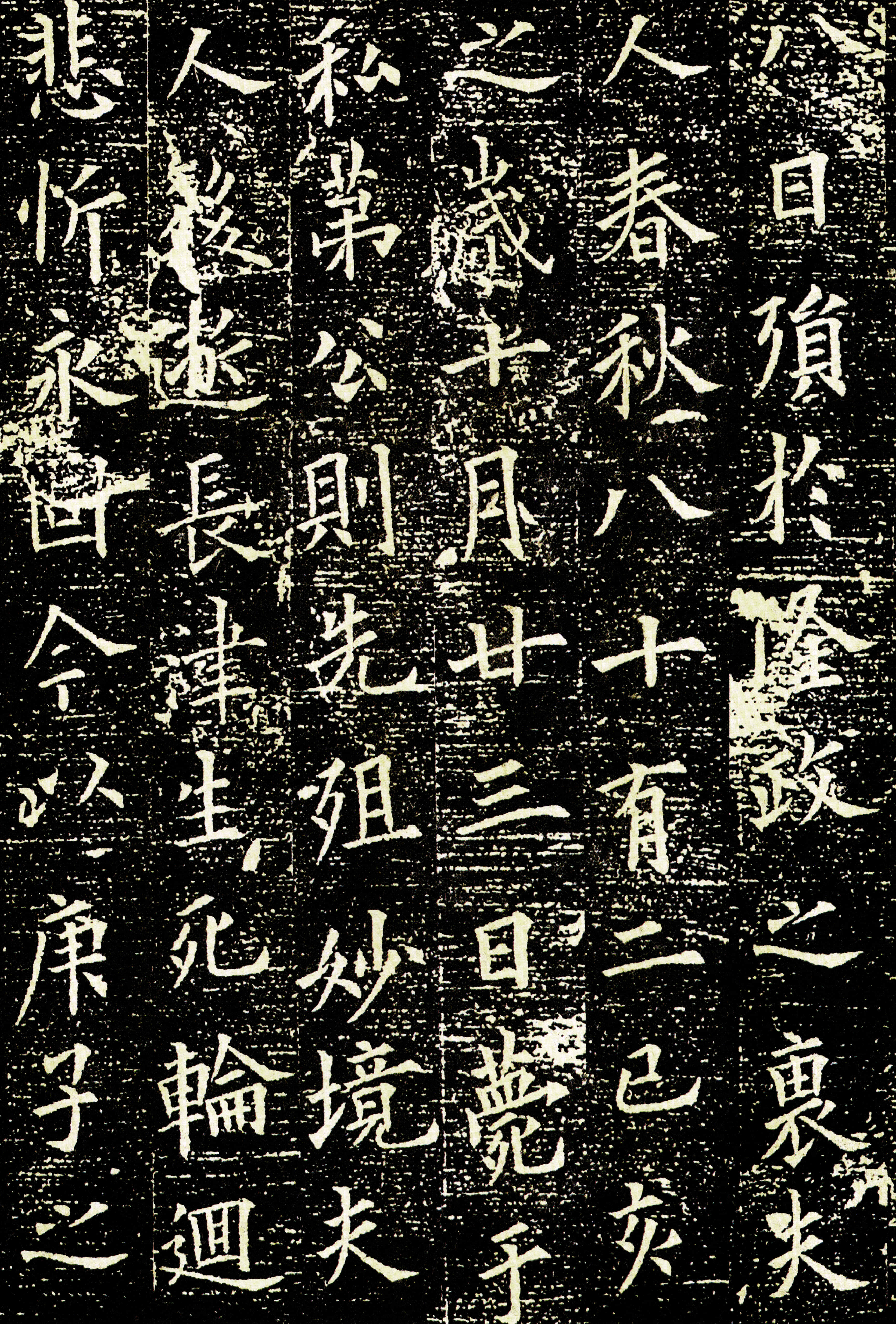 拓本 第5开