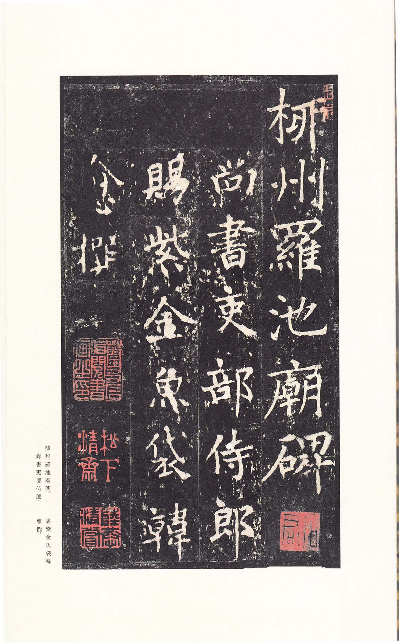 宋拓本 第10开