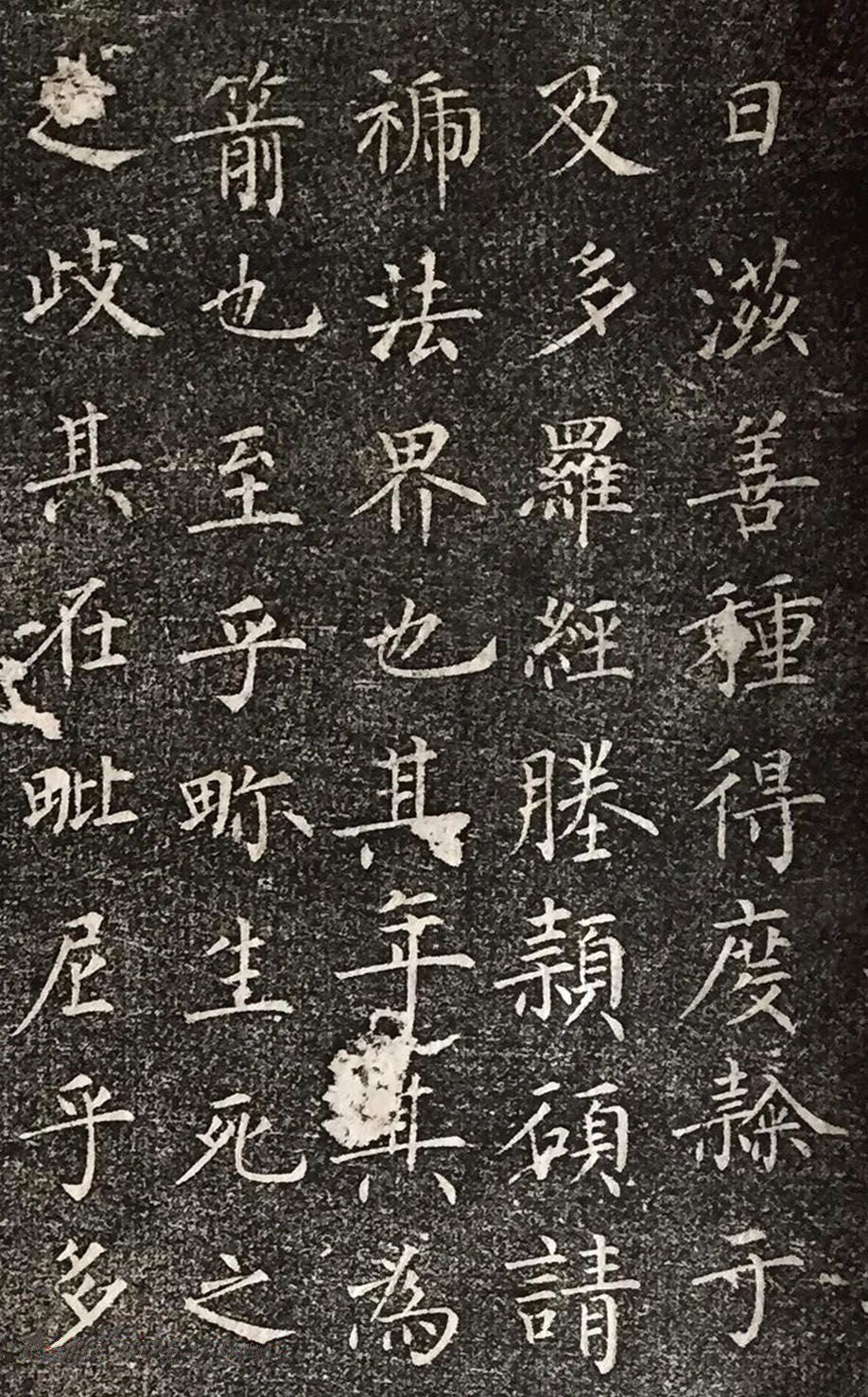 拓本 第5开