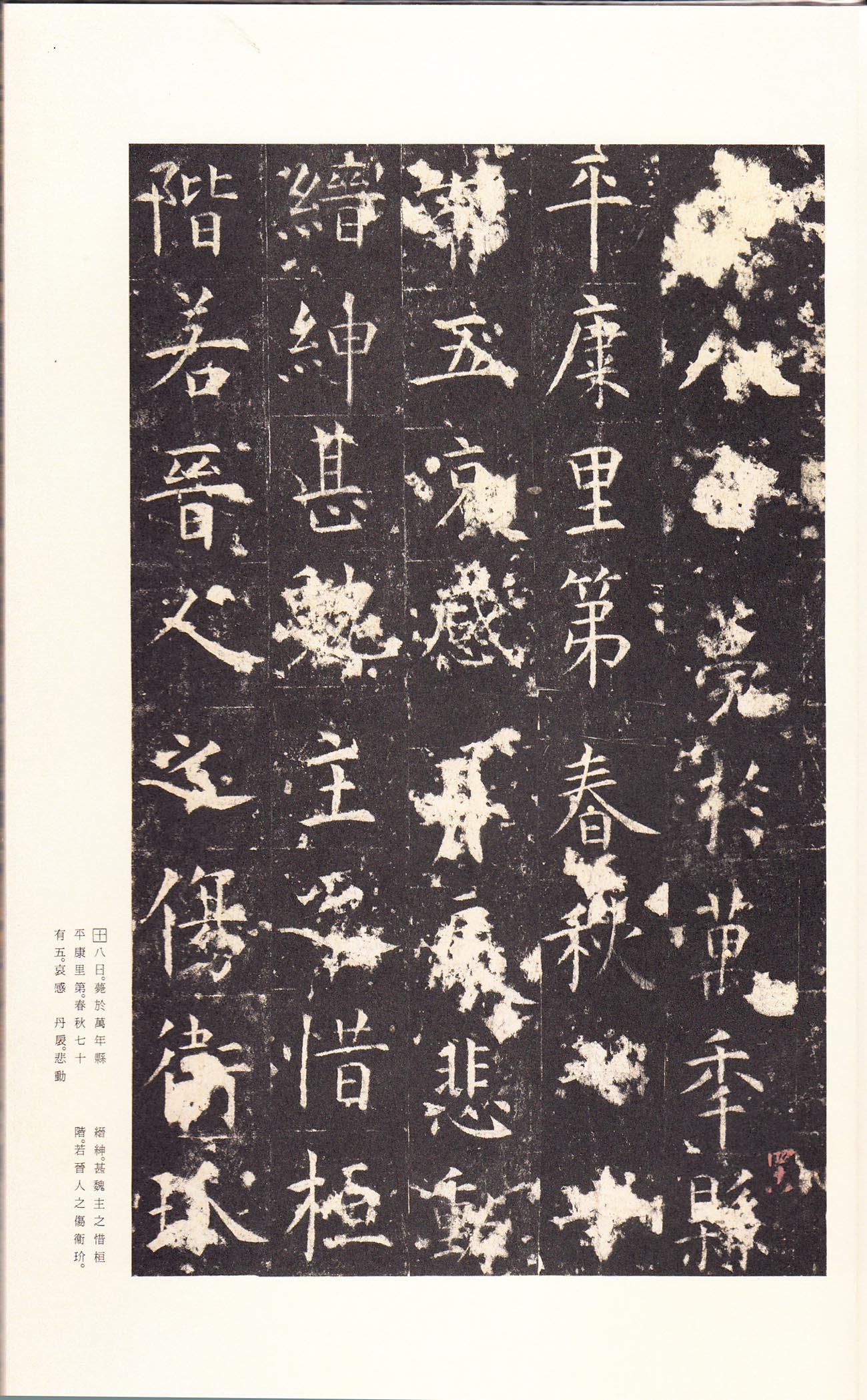 宋拓本 第52开