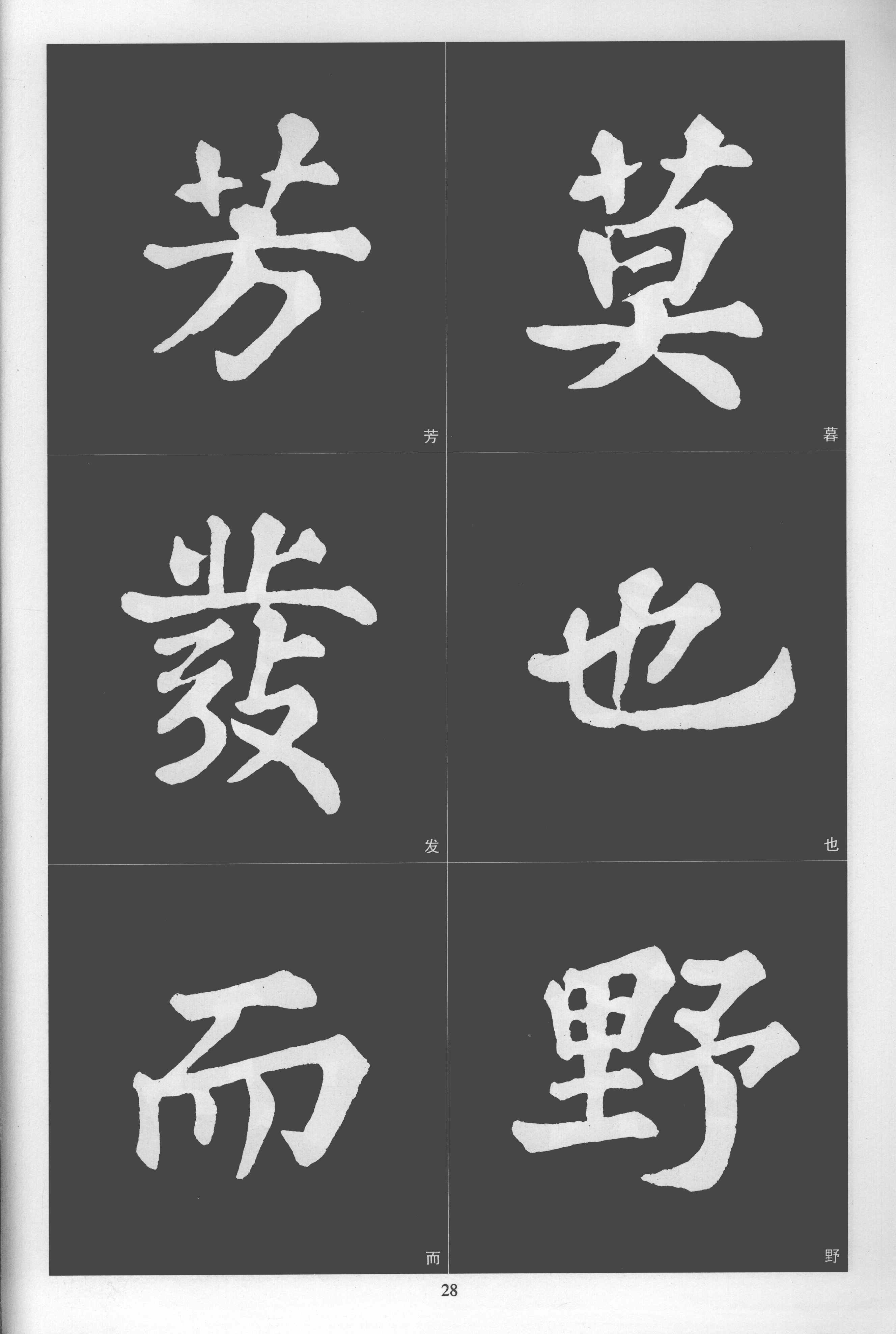 拓本 第28开