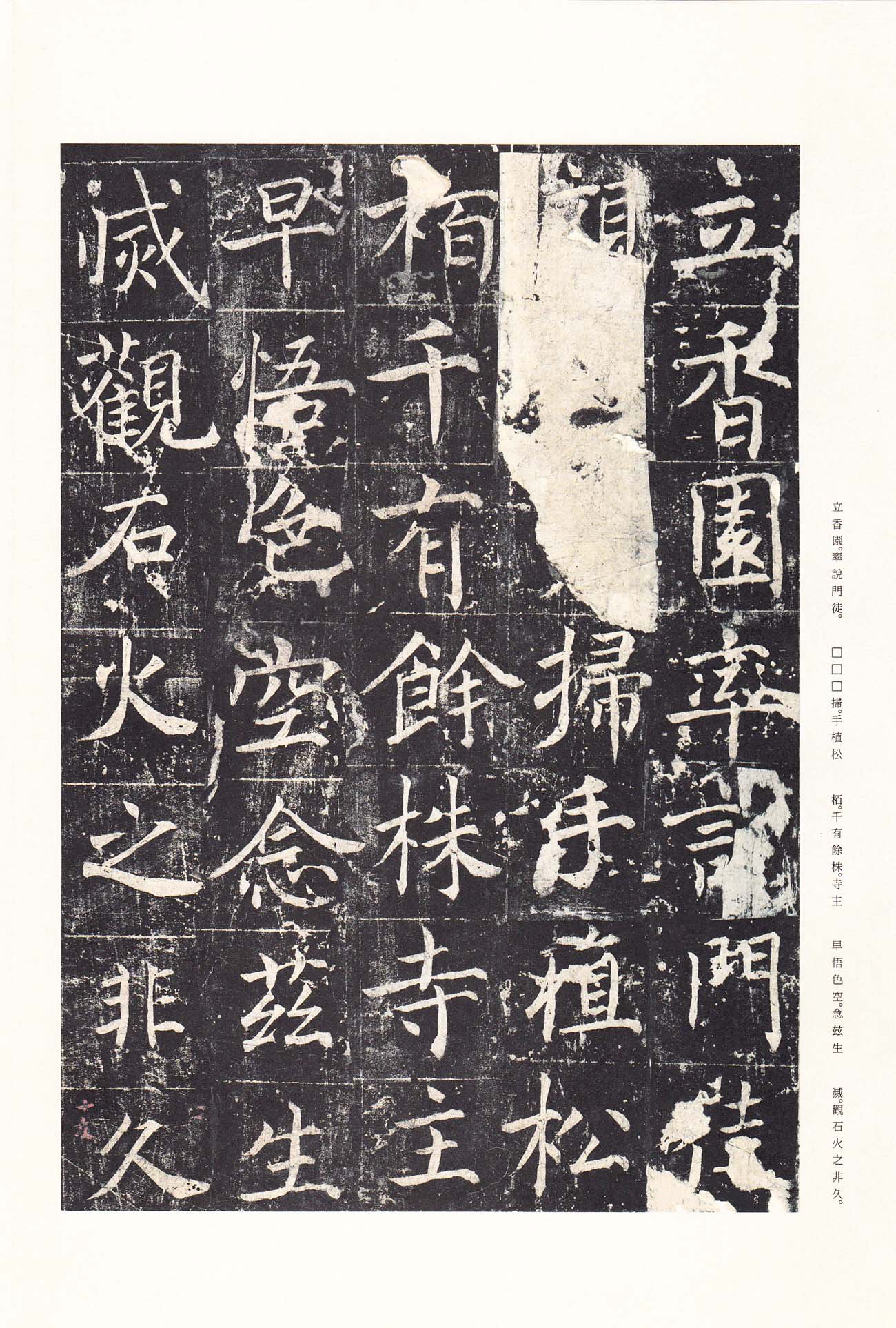 拓本 第24开