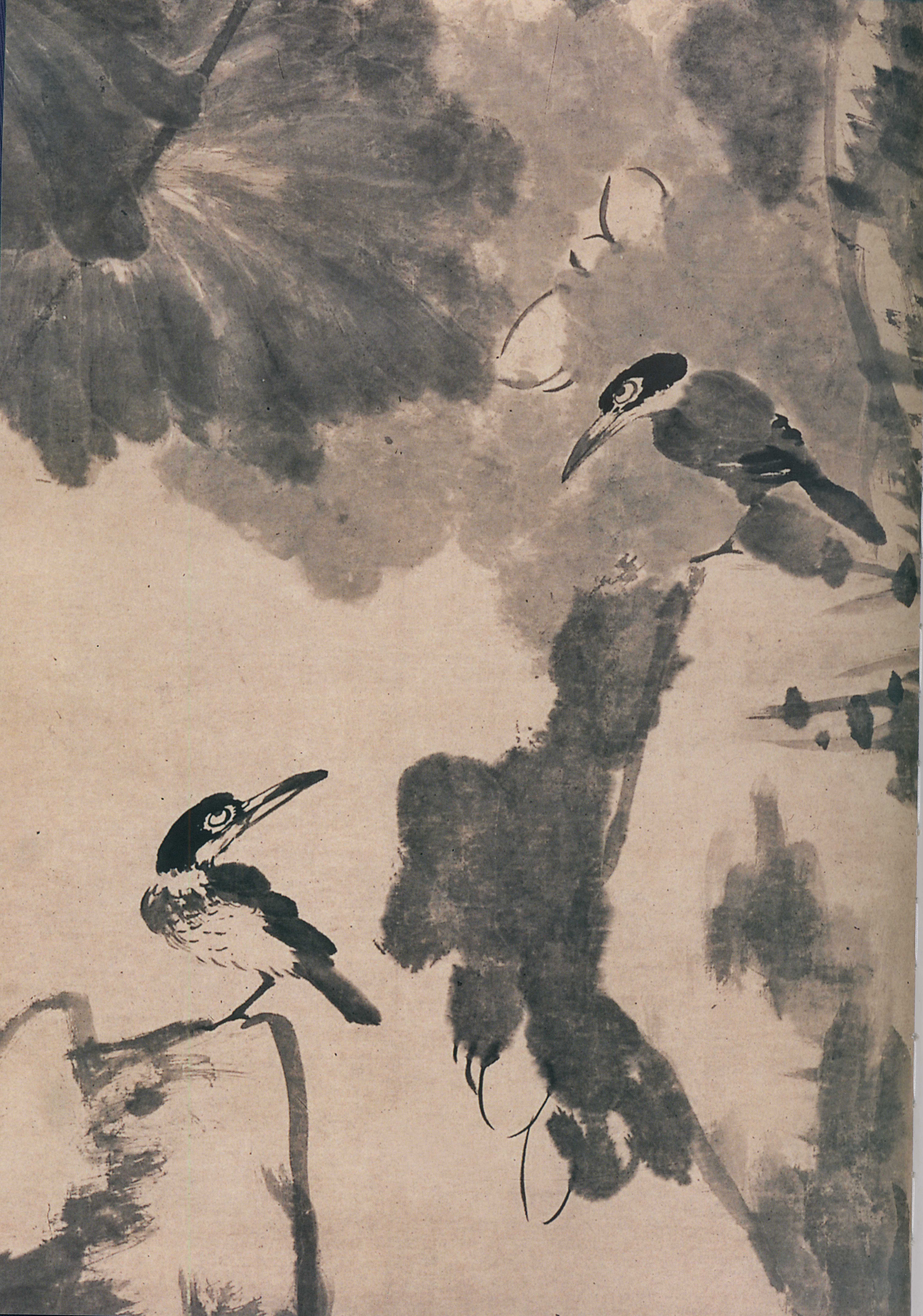 卷二 第249开