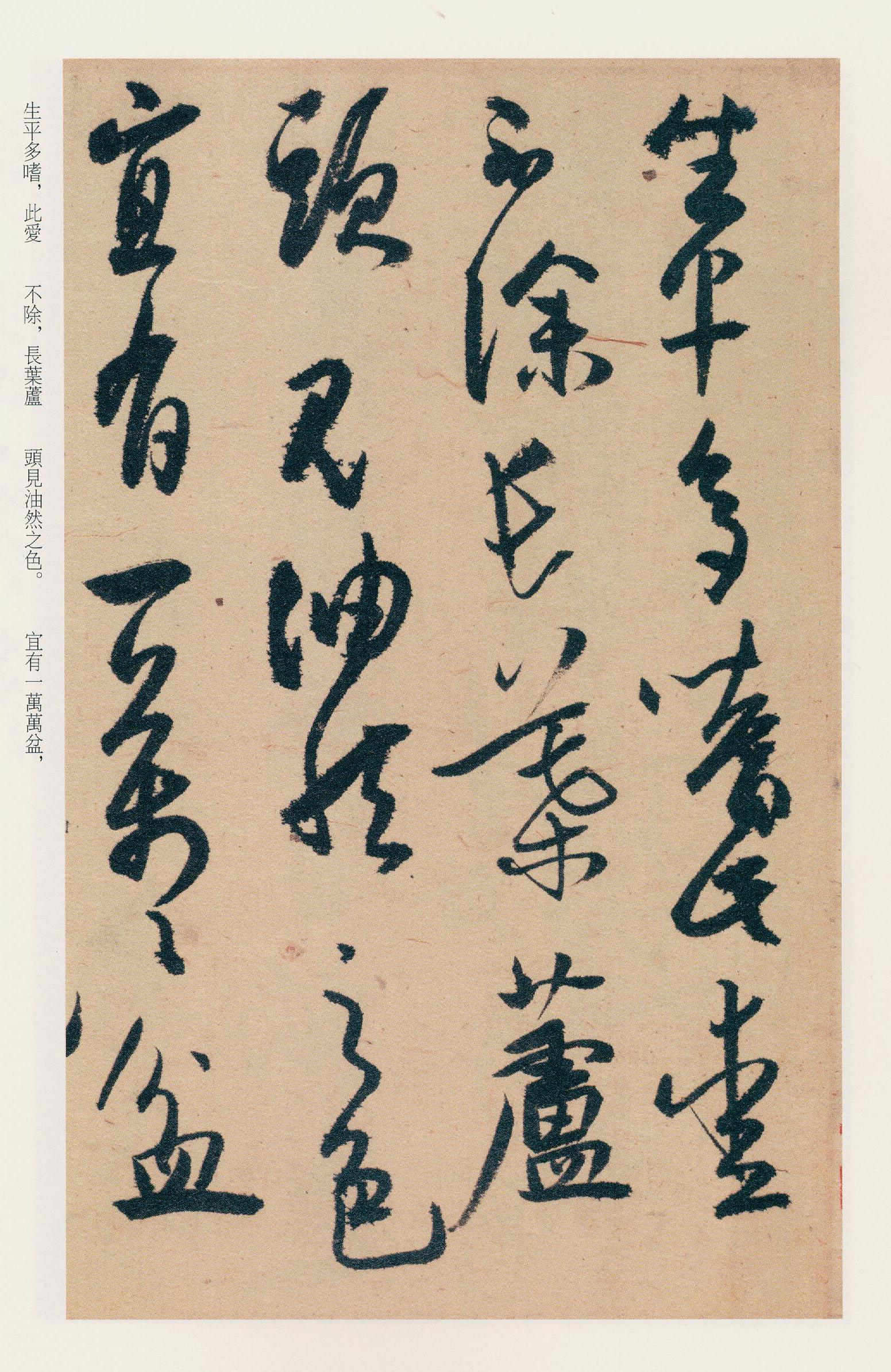 纸本墨迹 第22开