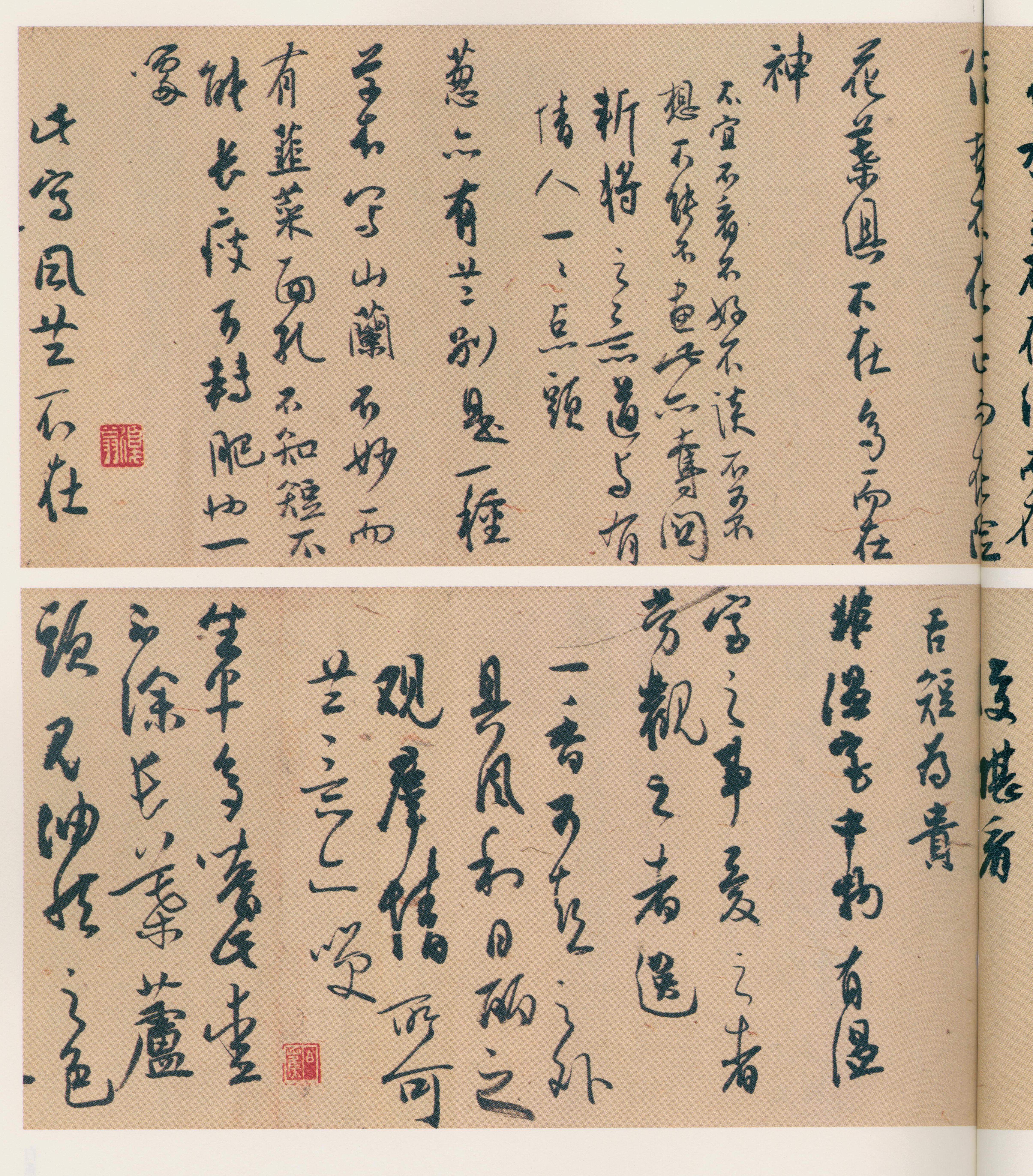 纸本墨迹 第50开