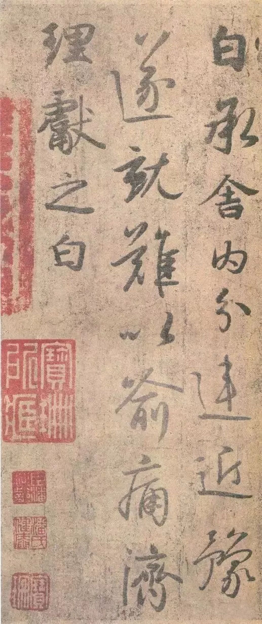 舍内帖