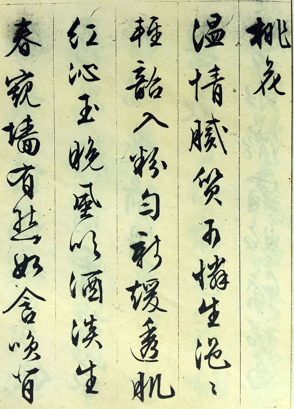 纸本墨迹 第6开